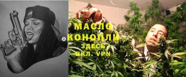 соль ск Дубна