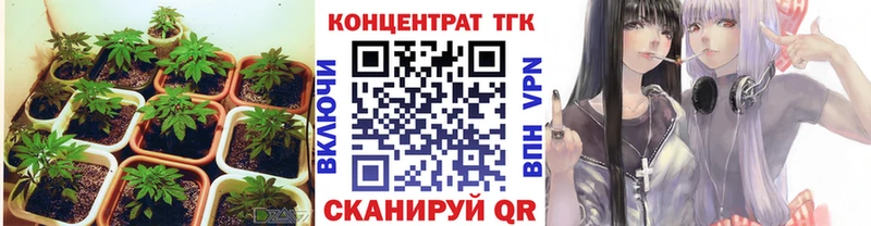 Дистиллят ТГК жижа закладки Серов