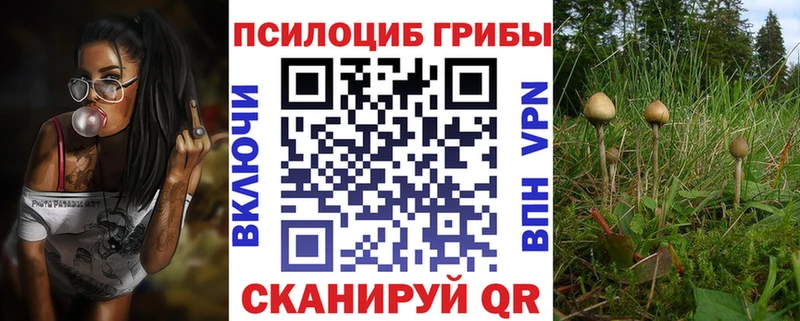 Галлюциногенные грибы Psilocybe  Серов 