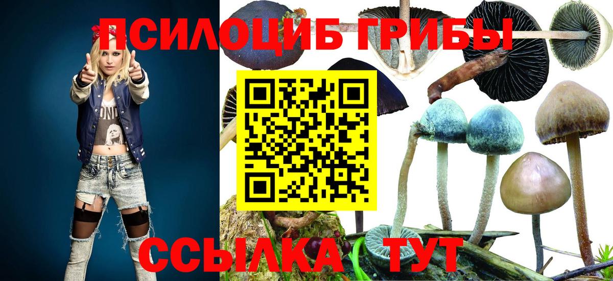 где можно купить наркотик  Серов  Галлюциногенные грибы мухоморы 