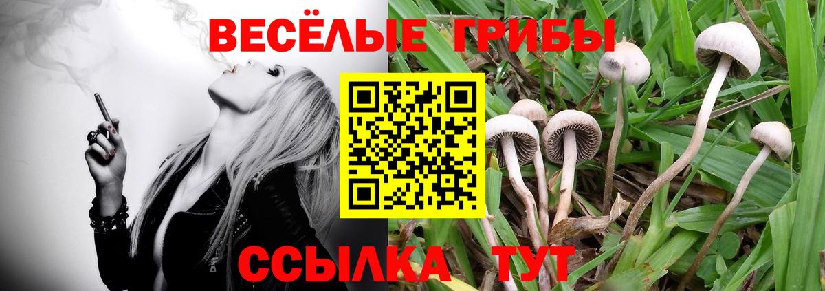 МЕФ кристаллы  Конопля  Серов  МДМА  КОКАИН  ГАШИШ  Где продают наркотики?  МЕФ кристаллы  Экстази 