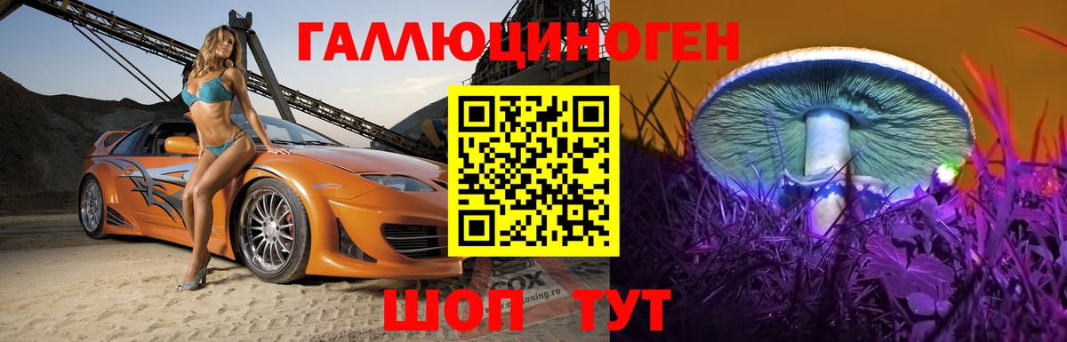 Галлюциногенные грибы Psilocybine cubensis  Вход с VPN  Серов 